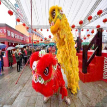 Lion dance props complete set of adult Double Dragon dance lion head Australian wool lion dance Standard Southern Lion Red
