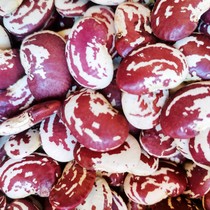 Large Kidney Bean Old Breed Mountain Flower of Yunnan Big Kidney Bean with Big Pale Beans and Beans Emperor Bean-like Beans 5 Jin