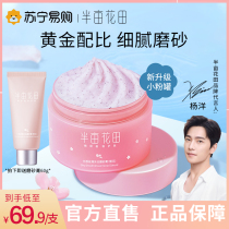 Half acre flower field cherry blossom ice cream body scrub exfoliating body pimple hair follicle men and women glow small powder cans