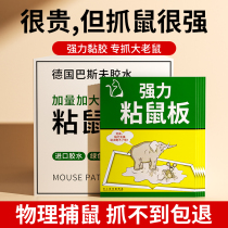 Super power sticky rat board catching big mouse stick with glue to catch the rat-rat-trap god-ware ultra-strong home One-socket 1328