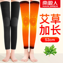 Antarctic Wormwood knee cover cover heat warm old cold leg long male Lady joint Old autumn winter artifact 1148