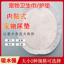 Pet Dog Periodical Pads Teddy Physiological Periodical Mensorship Mat Golden Hair Mass Toilet Urine Dietary