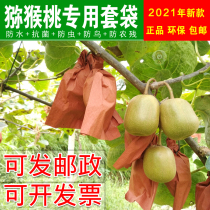 Kiwi special bagging fruit paper bag Fruit bag packaging waterproof insect-proof sun bird-proof 21 years of new