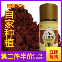 Changbaishan Ganoderma Lucidum spore Powder Bulk spore powder Toudao Premium Linzhi powder Imitation wild Basswood Ganoderma lucidum