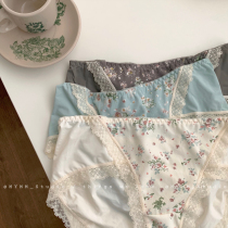 2 21 20:00 Spring Days in the Valley-assorted underpants