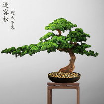 Simulation of welcome pine fake tree green bonsai new Chinese living room entrance hotel landscaping office decorations ornaments