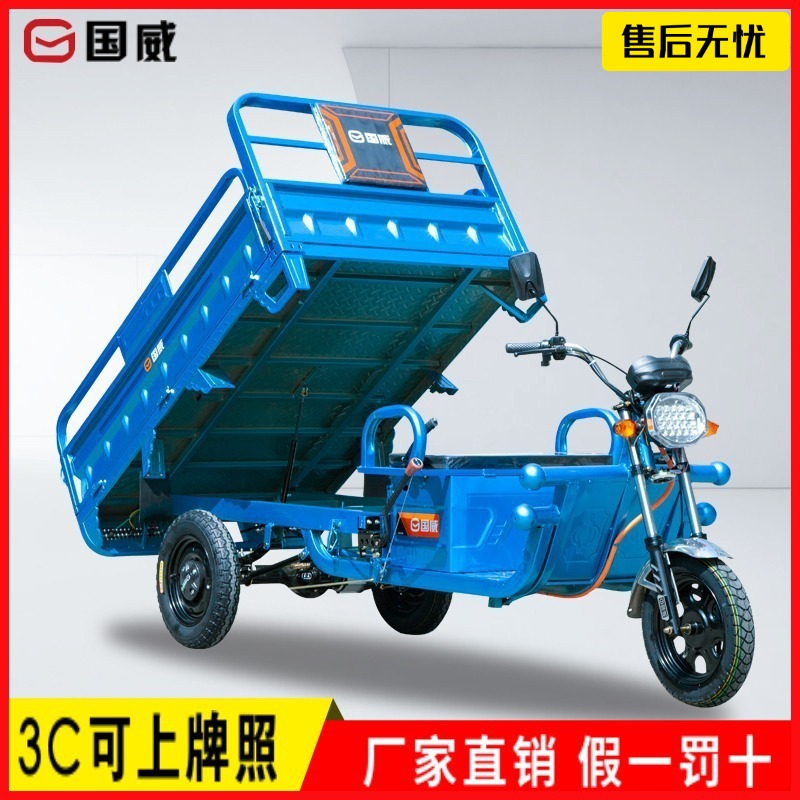 家庭内での荷物の輸送、物置付きの子供の送迎用のGuowei電動三輪車、貨物配送用の高出力バッテリー車両