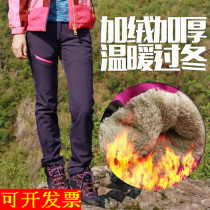-40 degrees cold-proof detachable ski assault pants women northeast Harbin Xuexiang tourism outdoor equipment mens winter