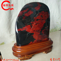 Guilin Chicken blood stone Chicken blood jade original stone collection stone Exquisite artistic conception boutique collection stone Dahongpao ornaments Qishi