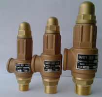Taiwan SS safety valve Adjustable pressure relief valve Water relief valve S10 safety valve DN15-DN50