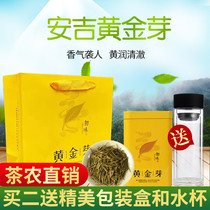 Zhejiang Anji Golden Bud premium Tea 2021 new tea authentic canned gift box 125g