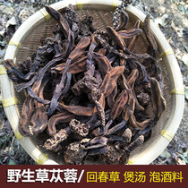 Cistanche deserticola 250g Guangxi Dayao Mountain is not old grass the sky is growing in the wild.