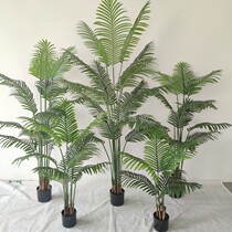 Simulation of new Sanwei sunflower anchovy plant potted home decoration landing green plant decoration bonsai custom spot