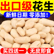 Export peanut rice Crispy peeling cooked peanut kernels No added fried peanuts Baked salt baked wine vegetables Snacks Nuts