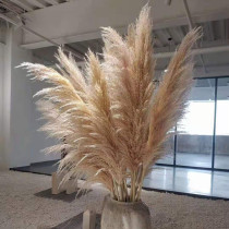 New Pu Reed dried flower bouquet living room decoration Nordic idyllic wedding layout super large reed Everlasting Flower