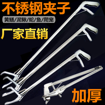 Grab rice eel stainless steel Loach pliers lengthy clip non-slip tool folding special artifact eel anti-release thickening