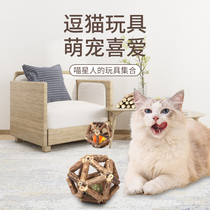 Cat snacks Linglong Ball Cat Hollow Wood Polygonum fruit worm galls cat molars tease toy self-Hi artifact