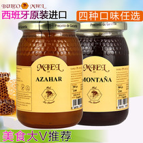 Spain original imported Bro family Black Honey farmhouse soil honey Alpine nectar orange nectar