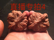 Boutique niche culture walnut wild white lion official hat grinding plate full of Sky Star southern Xinjiang stone Apple Orchard Source straight hair