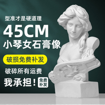 Xiaoqin female plaster art teaching head portrait plaster sculpture portrait art figure