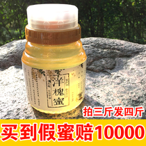 Honey pure natural farmhouse self-produced Sophora nectar 1kg self-raised mature wild authentic acacia honey True Honey