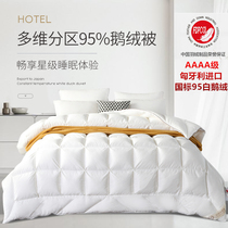  Imported duvet 95 white goose down winter quilt double thickened winter goose down quilt single spring and autumn quilt core