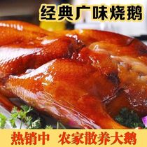 Wide Flavours Roast Goose hallow Cooked Food Super-weight Goose Spiced Goose snack Goose Meat Ready to Lower Leftover Rice Dish