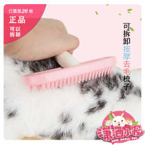 Carefree small darling detachable massage to the floating hair comb rabbit dragon cat guinea pig and mouselet to the wooler
