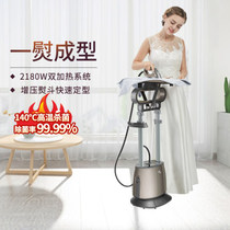 Huaguang Hung Ironing Machine Home Ironing clothes steam iron High power hot clothes upright hanging ironing machine QZ66-XDV