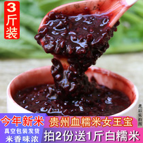 New rice Guizhou blood glutinous rice 1500g Farmers self-produced purple glutinous rice dumplings Rice grains can be made into wine coarse grains
