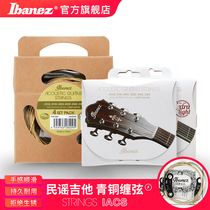 Ibanez Ebinese Ibana Coated Folk Acoustic Guitar 6 Bronze Wrap String Accessories Set