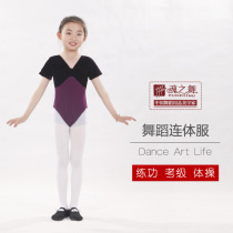 Soul Dance Childrens Dance Clothes Practice Grade Gymnastics Jumpsuit Long and Short Sleeve Professional Womens Velvet China Spring and Summer