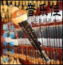 Music Jia Zizhu three-tone high quality C bB small D G F-tune gourd Silk send Box China Festival