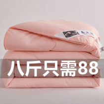 Silk quilt 100 silk spring and autumn quilt winter quilt thickened single double 810kg 6 winter quilt core