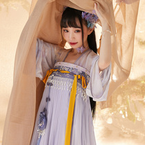 (More than thirteen cardamom) Spring Return] Embroidery pair-top shirt one-piece chest lower skirt Tang-made Hanfu