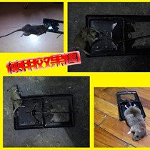 Mouse mouse mouse mouse mouse mouse mouse mouse mouse mouse mouse mouse mouse mouse mouse mouse mouse mouse mouse mouse mouse mouse mouse