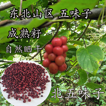 Changbai Mountain Schisandra mature seeds North Schisandra Northeast Schisandra dried new oil seeds 250g