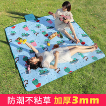 Picnic mat spring outing moisture-proof mat picnic waterproof lawn cushion outdoor portable outing mat thickened ins Wind