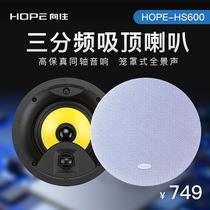 HOPE fixed resistance ceiling speaker HS600 ceiling ceiling speaker 20W