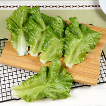Simulation lettuce lotus leaf model fruit and vegetable green leaf gasket washable soft rubber hotel catering decoration food props