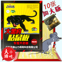 Tall Black Panther sticky rat plate rodent-killing glue mousetrap mouse-killing rat rodenticide paste thick type