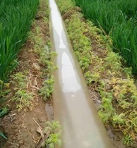 Agricultural watering and drainage artifact long water conveying belt 15CM wide and very thick single side 10 silk can be recycled and reused