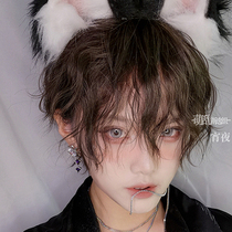 Tin paper hot cute mess texture hot hot wig young white white Brown Japanese roll short male cos gay roll