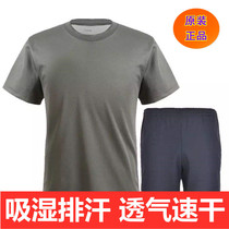 New physical training suit short sleeve suit mens T-shirt summer quick-drying shorts breathable outdoor round shirt leader fan T-shirt