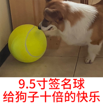 Large tennis ball 9 5 inch signature ten times happy ball dog dog pet toy tennis ball
