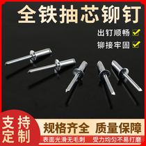Hongwu open type all-iron core pulling rivets Iron core pulling nails Iron d nails Iron pull nails Steel rivets pull rivets