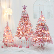 Christmas ins Wind Net red pink flocking Christmas tree set meal 1 2 meters 1 5 meters shopping mall window home decoration