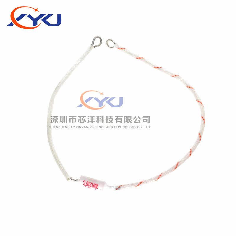 The longer 30cm temperature fuse RF165 185 216 240 degrees 250V 10A 15A 20A