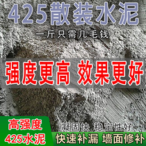 Bulk ten Jin Cement High Strength 425 Toilet Water Leakage Waterproof Wall Cracks Quick Dry Floor Building Wall