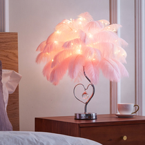 ins Girl bedroom bedside lamp Warm romantic creative small table lamp Feather lamp Wedding birthday gift net red light